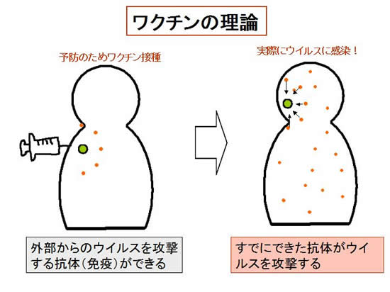 効果 インフルエンザ なし ワクチン